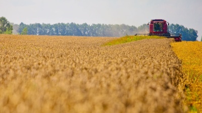 Ukraine food giant diversifies its way out of country's crisis 